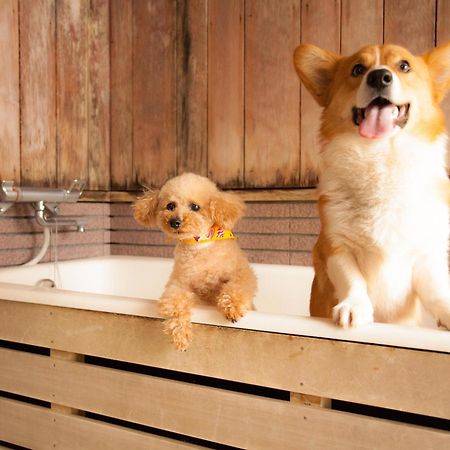 Izumigo Takayama Dog Paradise Hotel מראה חיצוני תמונה