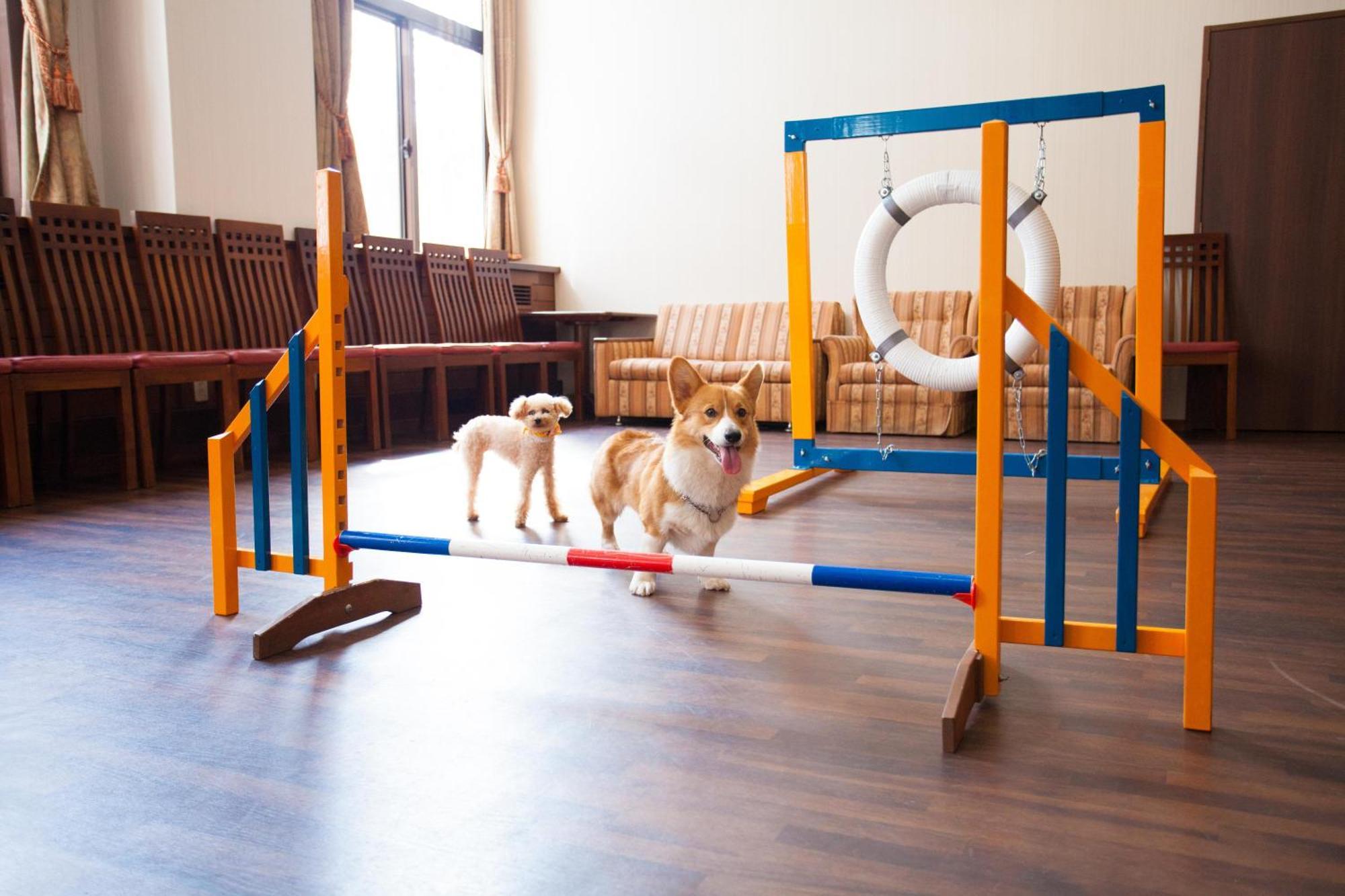 Izumigo Takayama Dog Paradise Hotel מראה חיצוני תמונה