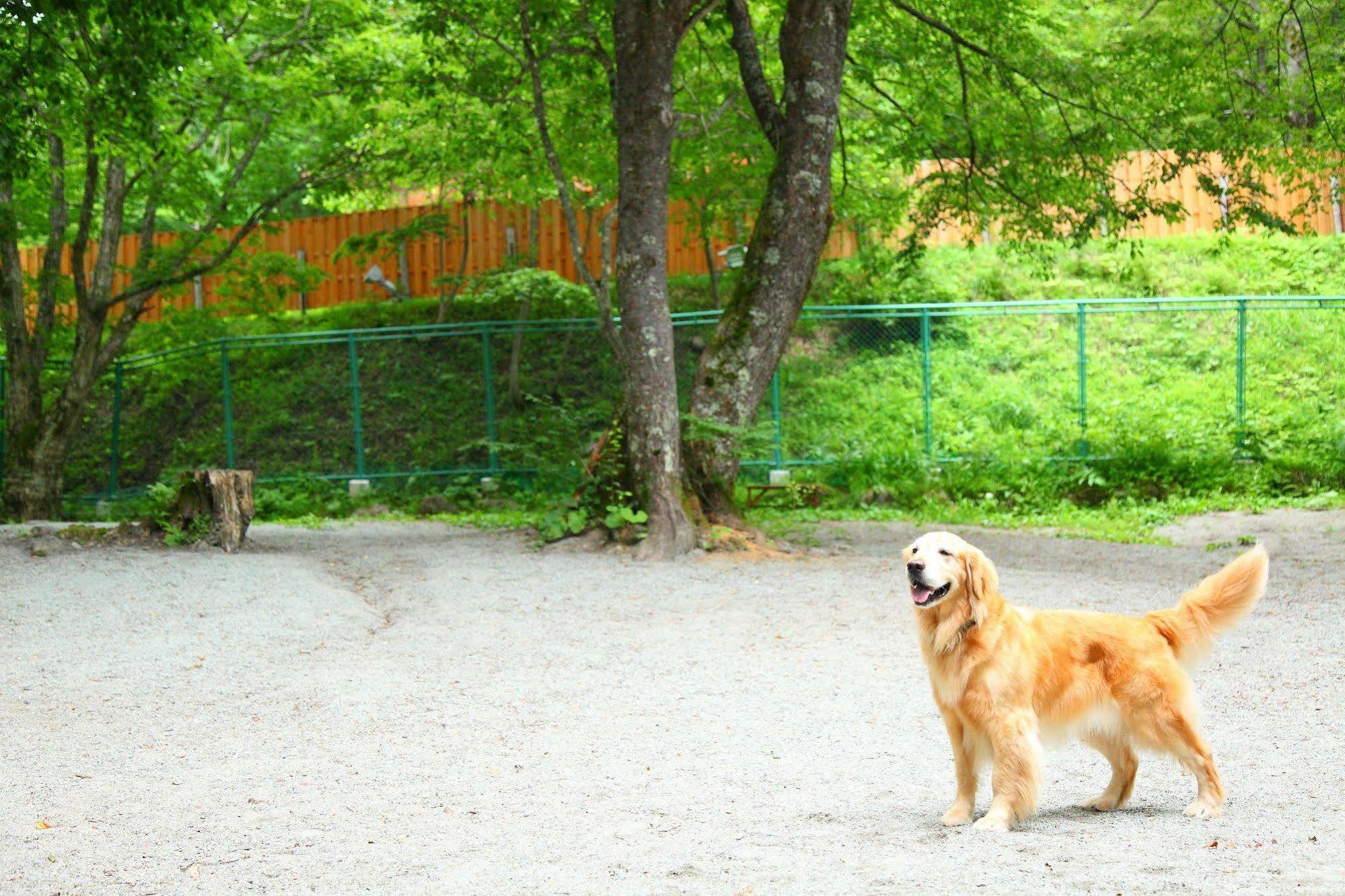 Izumigo Takayama Dog Paradise Hotel מראה חיצוני תמונה